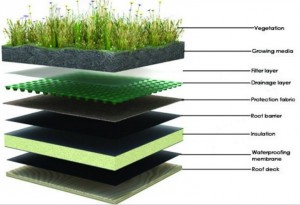 Layers of a green roof top, source:  dcgreenworks.org